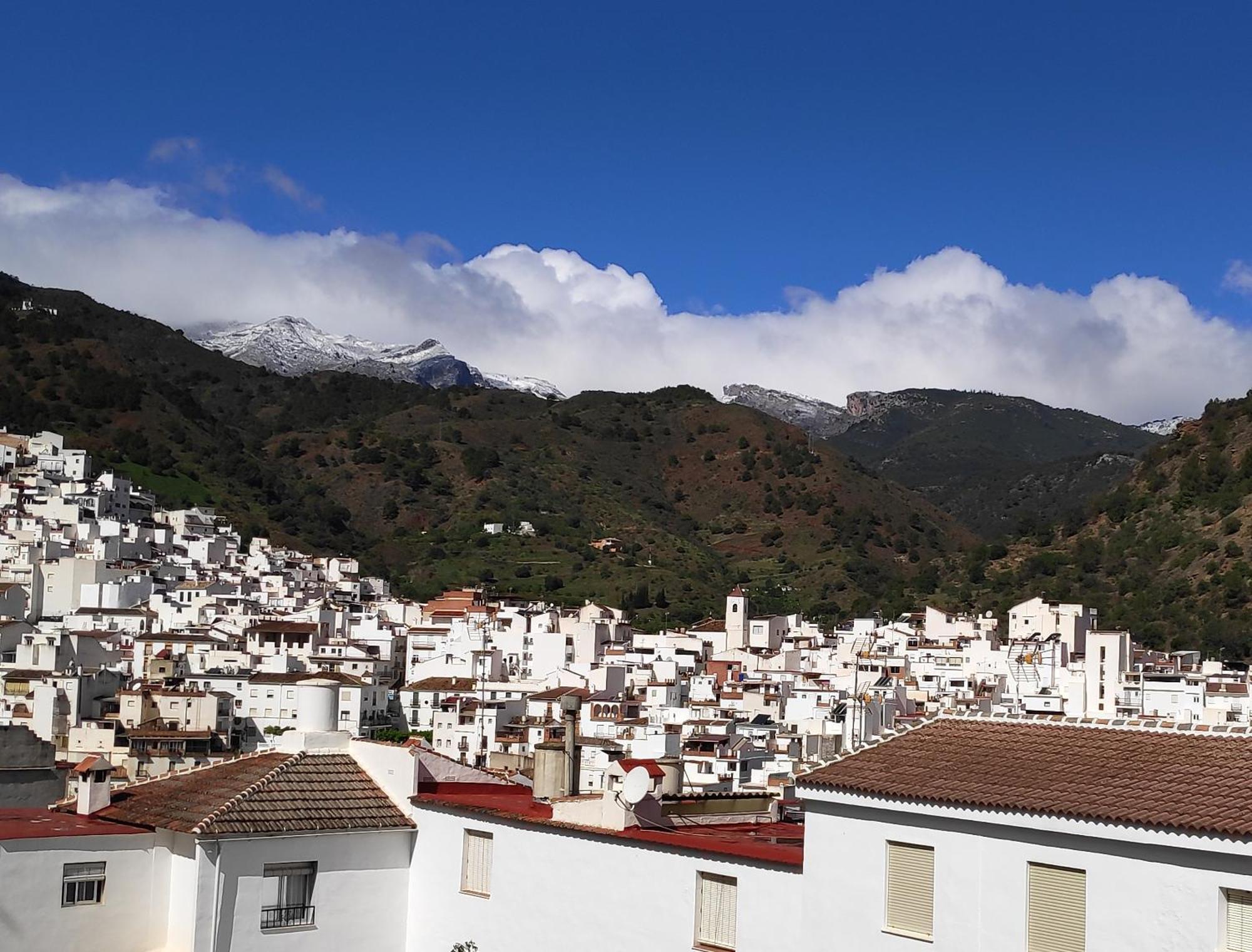 Apartamento El Almencino Tolox Luaran gambar